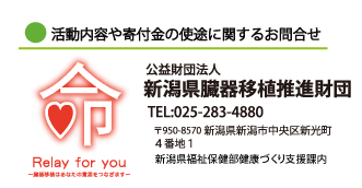 et̎grɊւ邨₢킹@vc@lVڐAic@db0025-283-4880