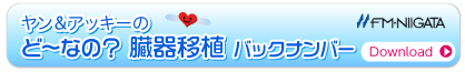 WIobNio[oi[摜